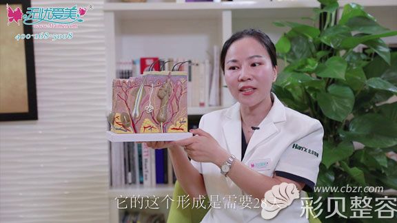 聽張繼平說皮膚損傷后的形成需要28天