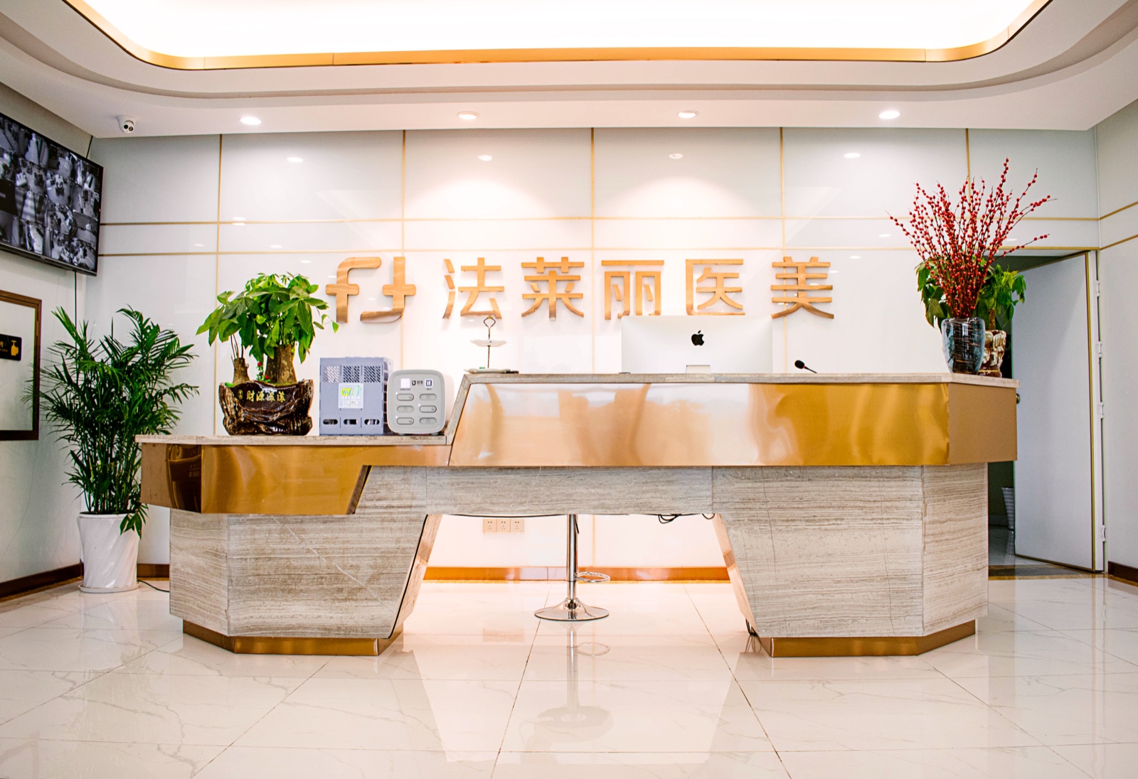 湖南法萊麗醫(yī)療美容