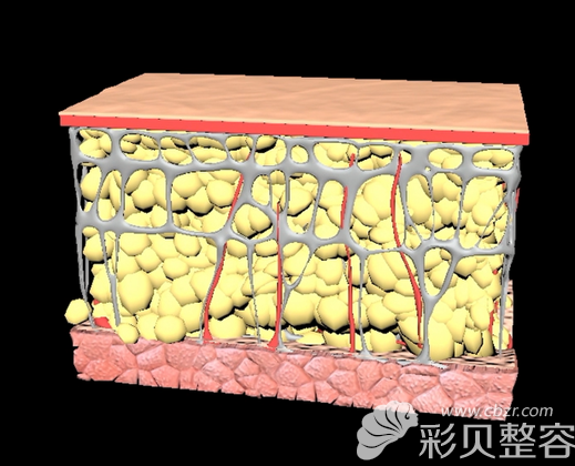 聽說維納斯吸脂在韓國非常流行 哪家醫(yī)院效果好？