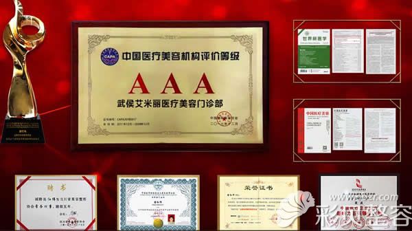 武侯區(qū)艾米麗醫(yī)療美容榮譽證書