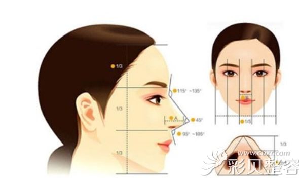 什么樣的鼻子才好看