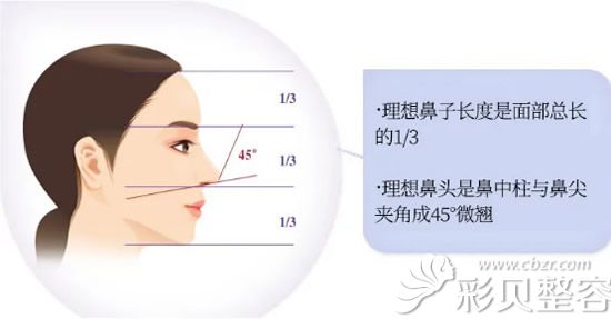 理想的美鼻標(biāo)準(zhǔn) 理想的美鼻標(biāo)準(zhǔn)