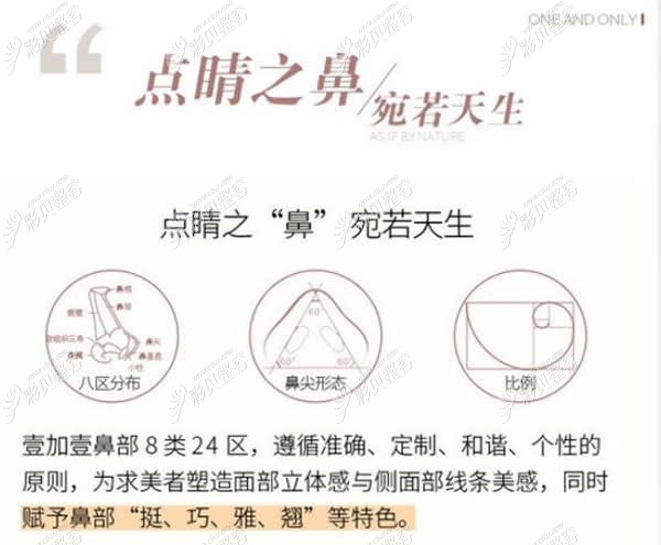 蕪湖壹加壹隆鼻技術優(yōu)勢