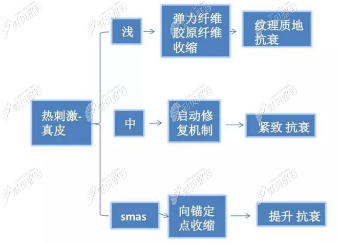 美萊熱拉提原理 美萊熱拉提原理