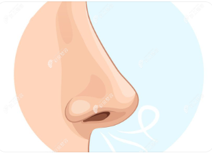 直鼻微翹cbzr.com